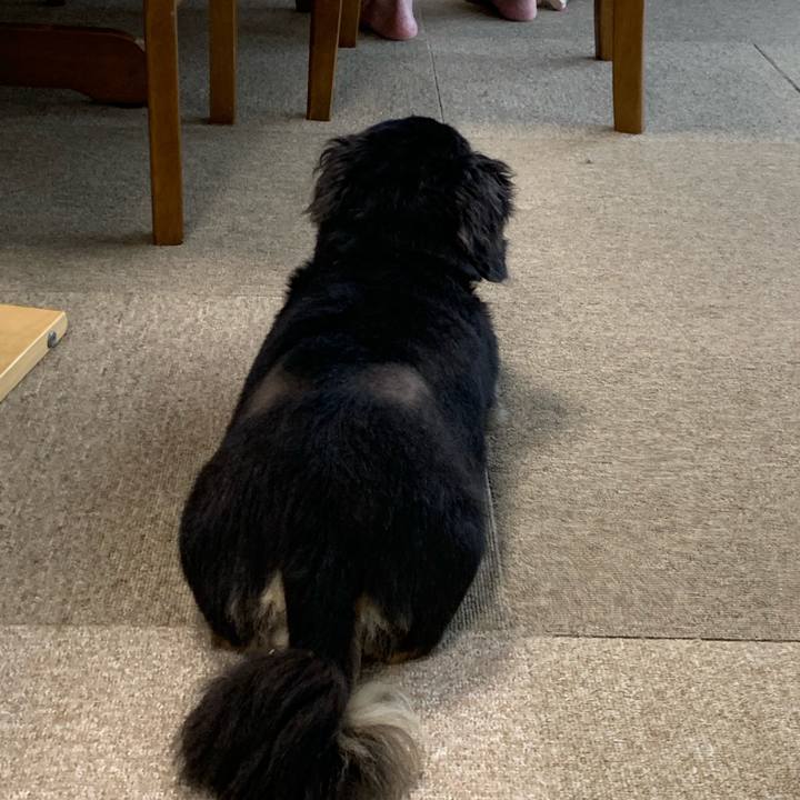 75b2b01b 2fc6 48ed 9933 be613054ded3 1565649698599