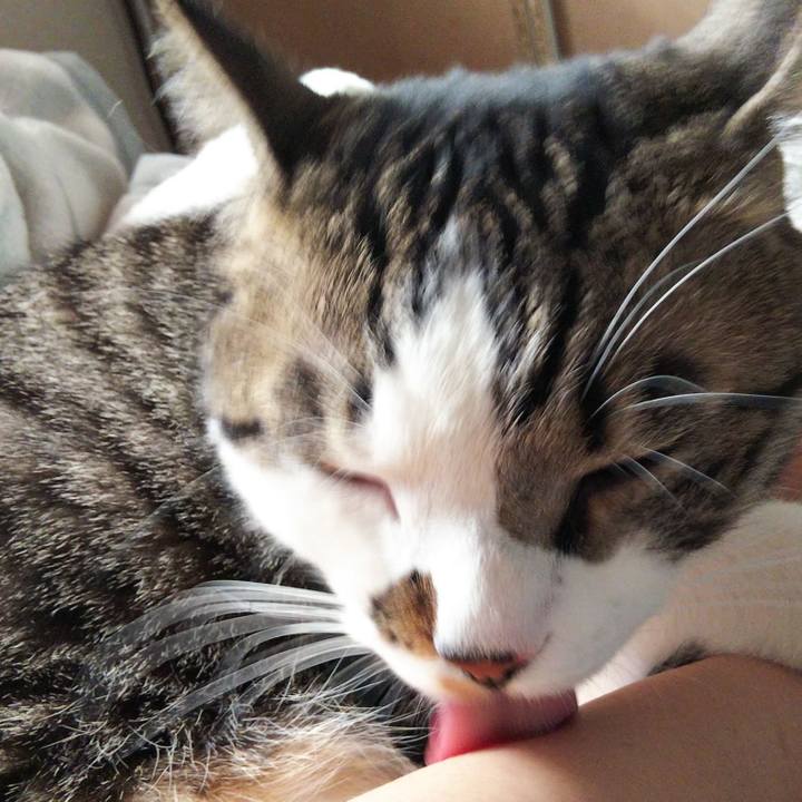 75b2be36 0c69 42c9 87b4 87b050a92532 1651825568651