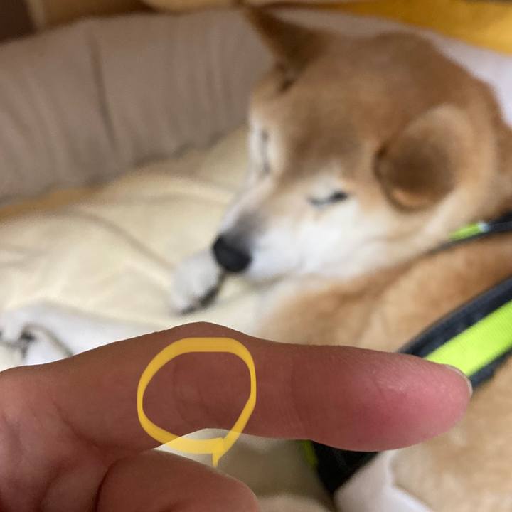 75b2f9e1 43a9 4377 990c 2f904e37a8eb 1611027321259