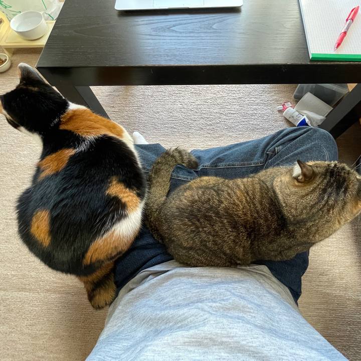 75b3578a f62d 40c6 9ad7 7ba59ae6f51c 1639785889790