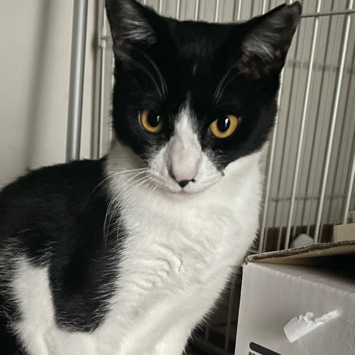 75b360cc a96d 4277 832e fb843f0416b5 1686216805814