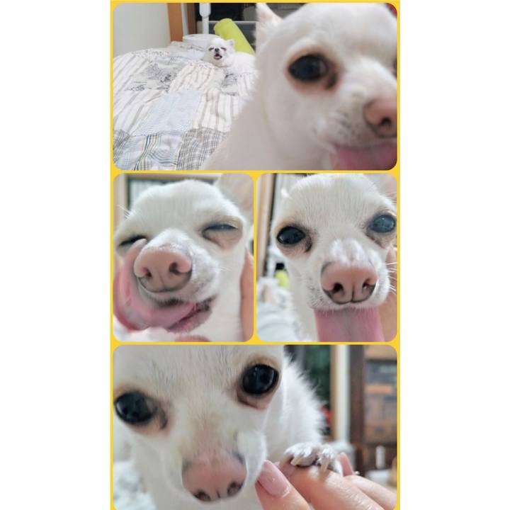 75b382f5 178b 4e76 893c e23660d6b57c 1772799391836