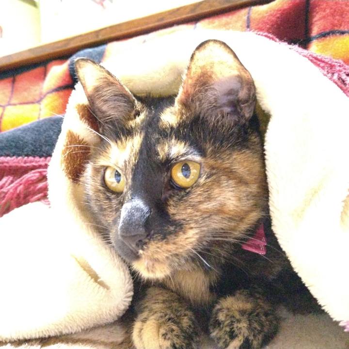 75b38a1d f015 456c 81c0 c8ce1c730640 1615015069429