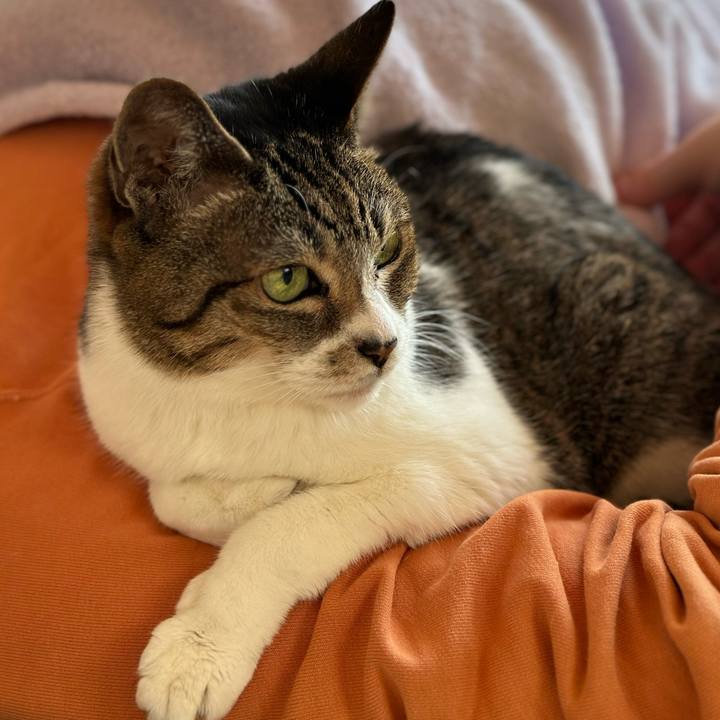 75b390c9 6dfa 4a92 b4c2 2189043a8c11 1677634300029