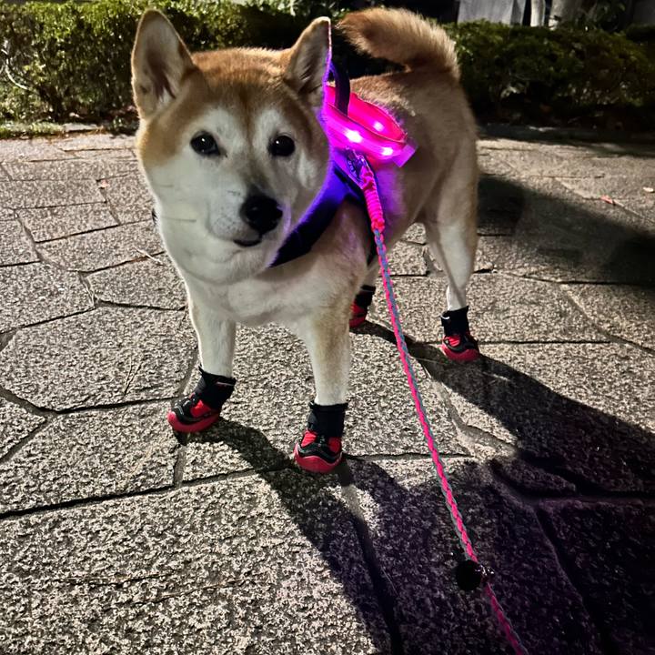 75b39c1d 2fec 43db 9227 6d85d5ac2280 1732525033293