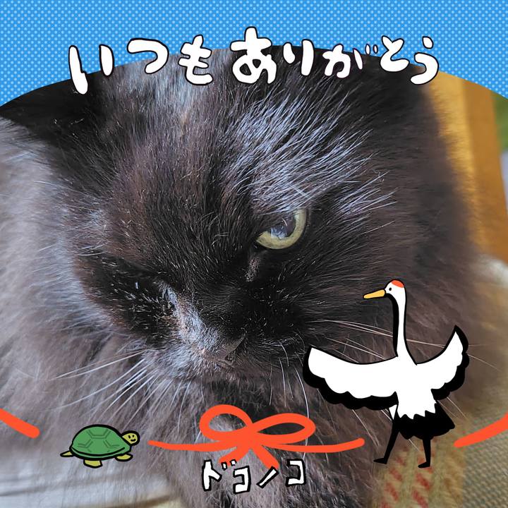 75b3abde 6a7e 4a56 8bf8 c55e1f54b396 1726835050039