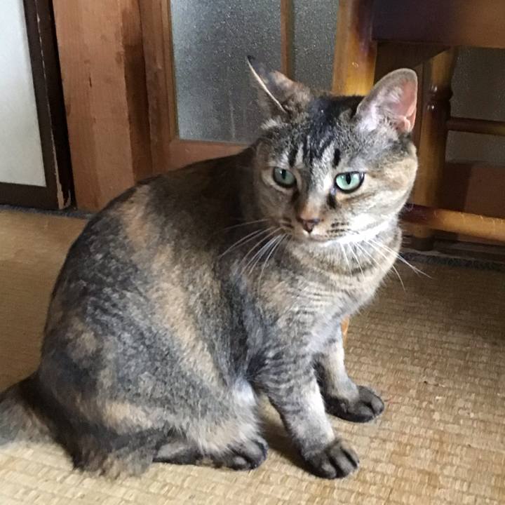 75b3d06c e1c1 43d4 89d6 8ed748e19550 1752316524028