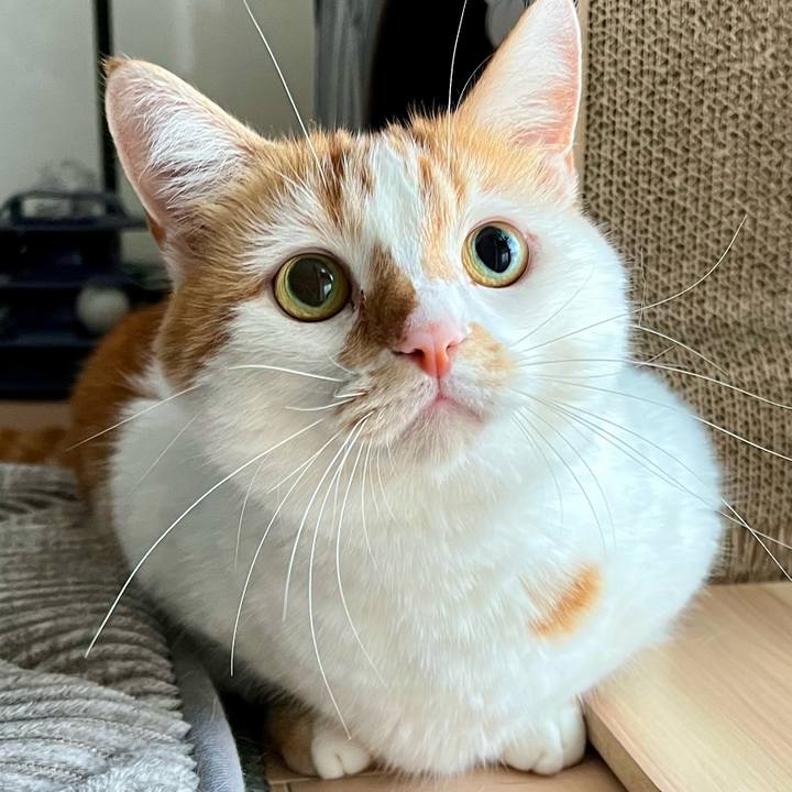 75b3d4cd c699 4291 ae66 cf79a6af3d70 1758944504138