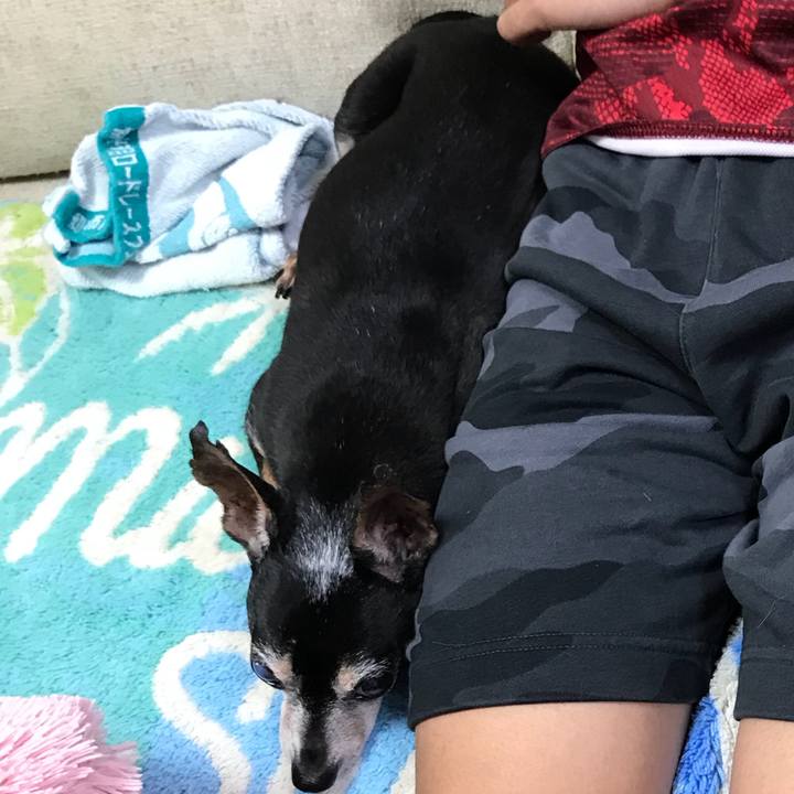 75b41e26 8f10 48df 86a5 5d7913d8a07b 1567213032105