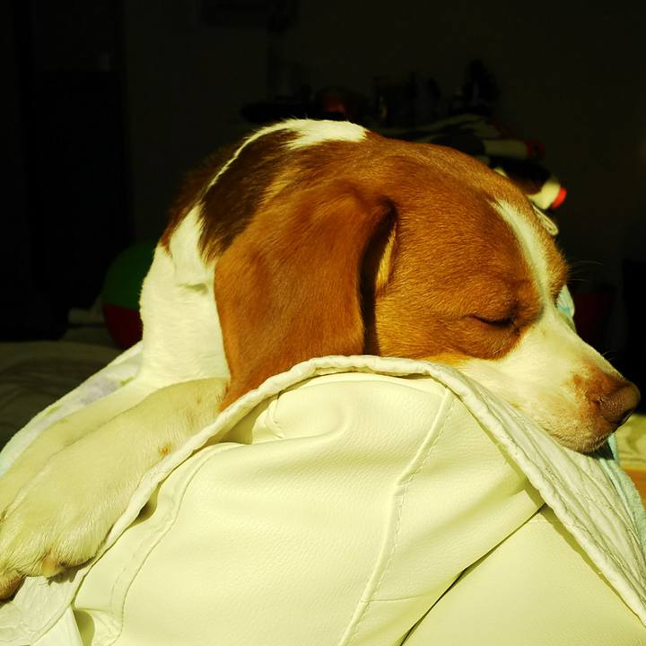 75b42456 758f 410c 8d7f ea1d2a4054f5 1516505135312