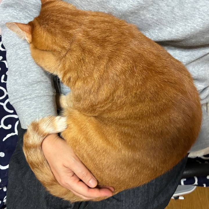 75b45cf5 fe50 4c36 8b34 6d6122688821 1763988168604