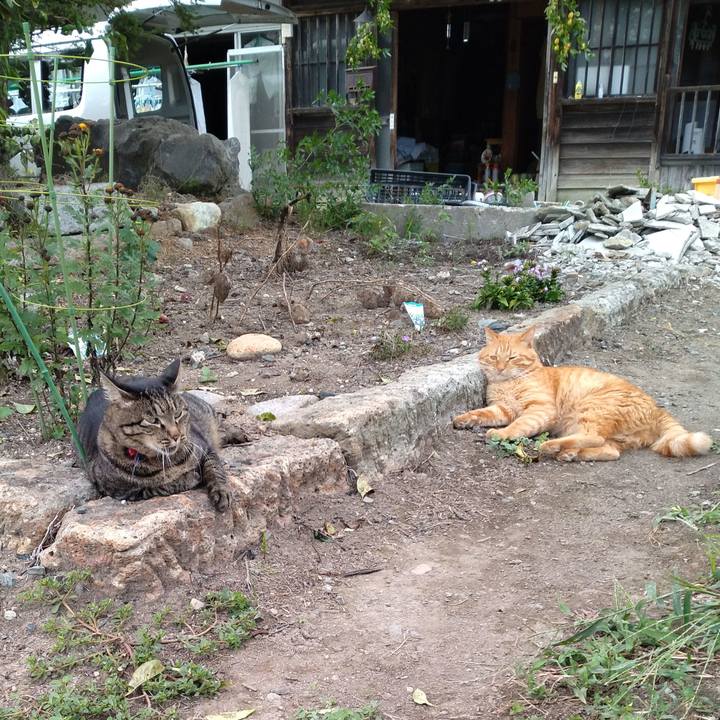 75b48d85 5f37 4fd6 9dec cf6d1b185dbf 1694677487564