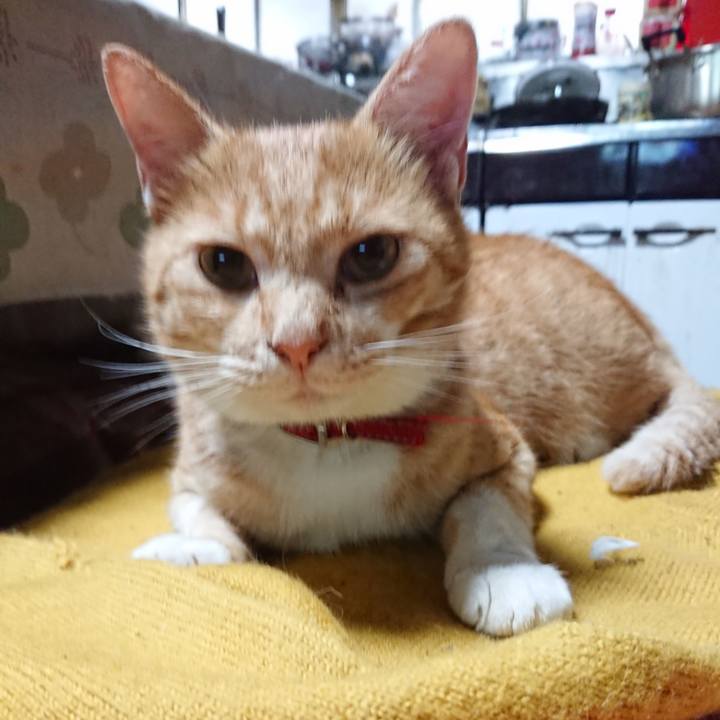 75b4cb25 54db 4043 8c5e 62d971f261af 1570840578918