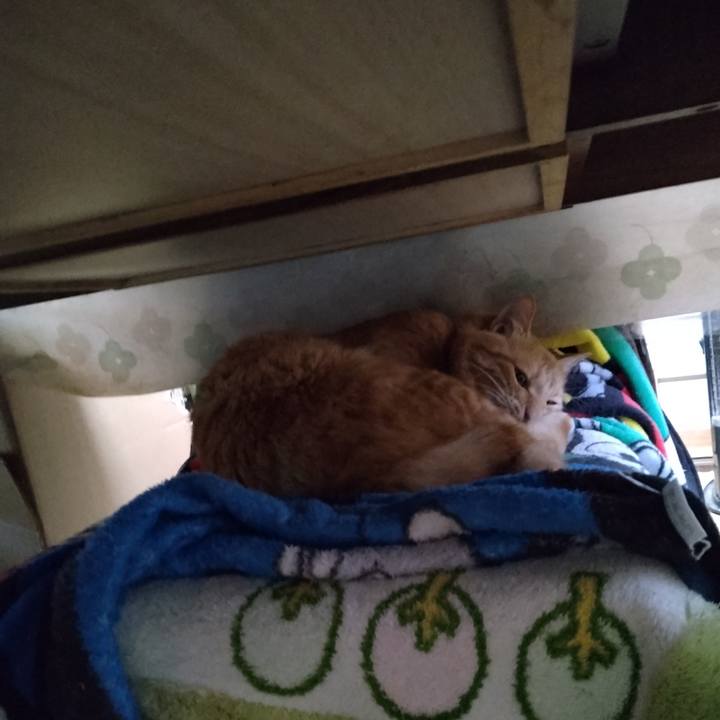 75b50c23 c8b0 442a bc6b 7c800f7dc389 1666391373569