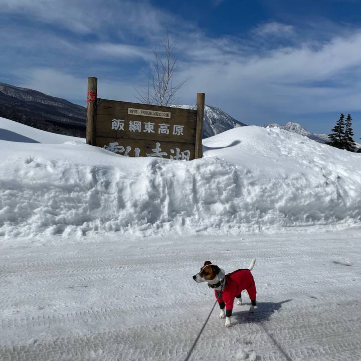 75b51ce7 2db6 40a6 aded 7077d2c40de1 1645937914290