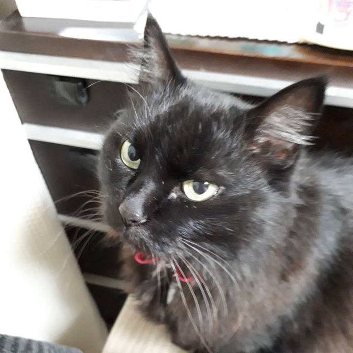 75b54219 6f58 4d18 a546 c2568bc5e049 1517000392687