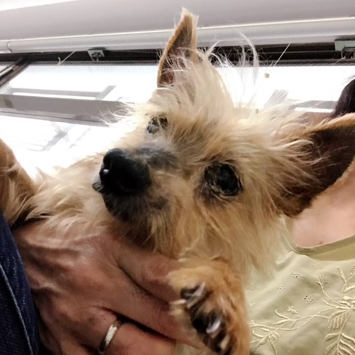 75b5533b 2ed9 4c2b a9a5 843d24eb9ed9 1528849859218