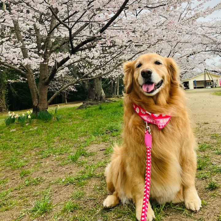 75b57079 f6a3 4384 8471 ed3aac7b269f 1712637944927