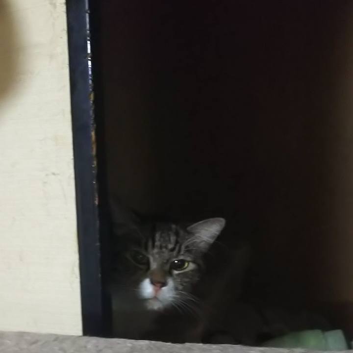 75b5833b b761 44b3 9e2b d22b0c8b22c4 1569327039450