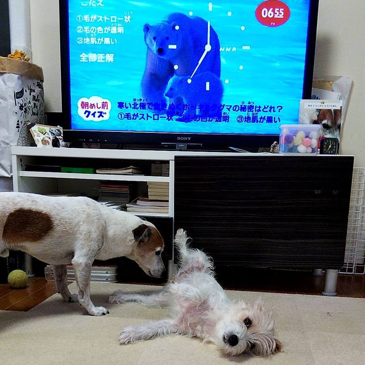 75b59818 b1e5 4057 9d01 87af36f8ee73 1563919685612