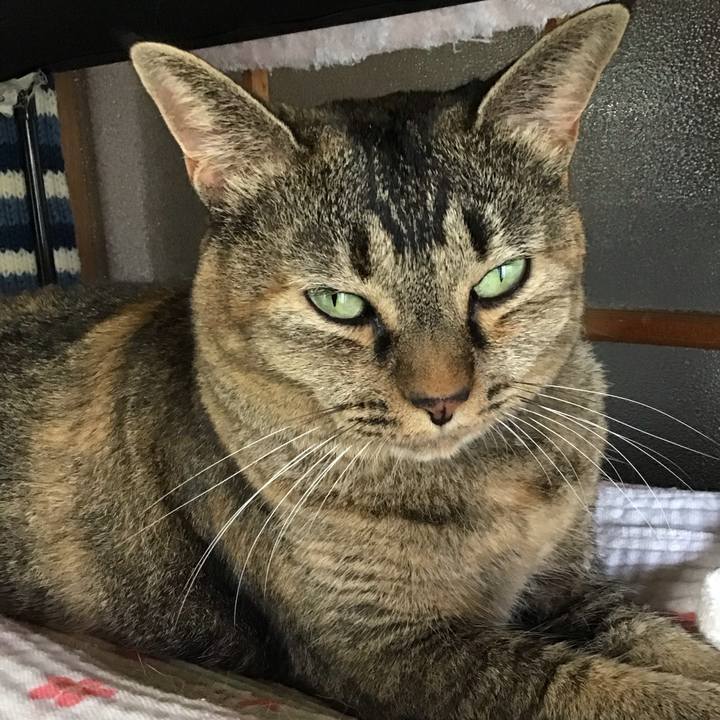 75b59984 b6b0 46af 8ff1 4959dd18d4a0 1757677055267