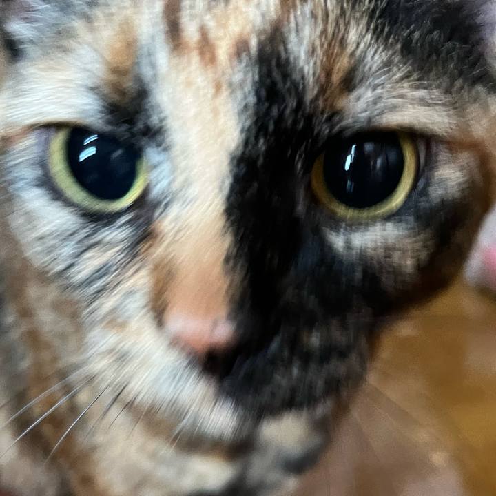 75b5b89b be93 4040 bcf9 71f562d536a5 1769820049457