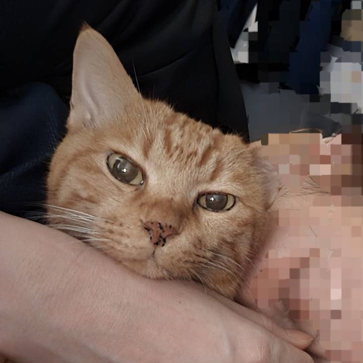 75b5c057 9e09 4b30 8ef3 38ddf4f48c73 1730951598195