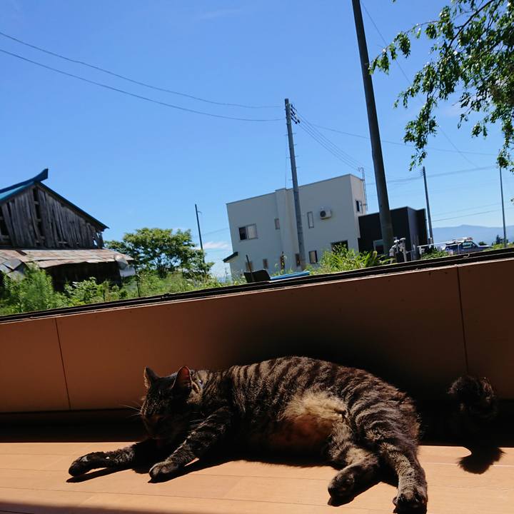 75b5d37c 324e 442f 82ea 08cba203c893 1661740531259