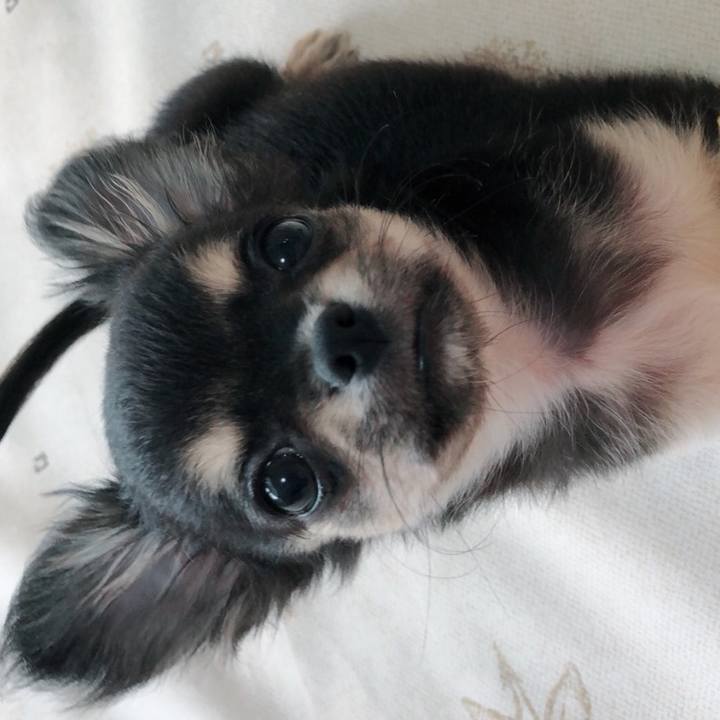 75b5fa90 0209 42db 8764 b86323ed8780 1535772969370