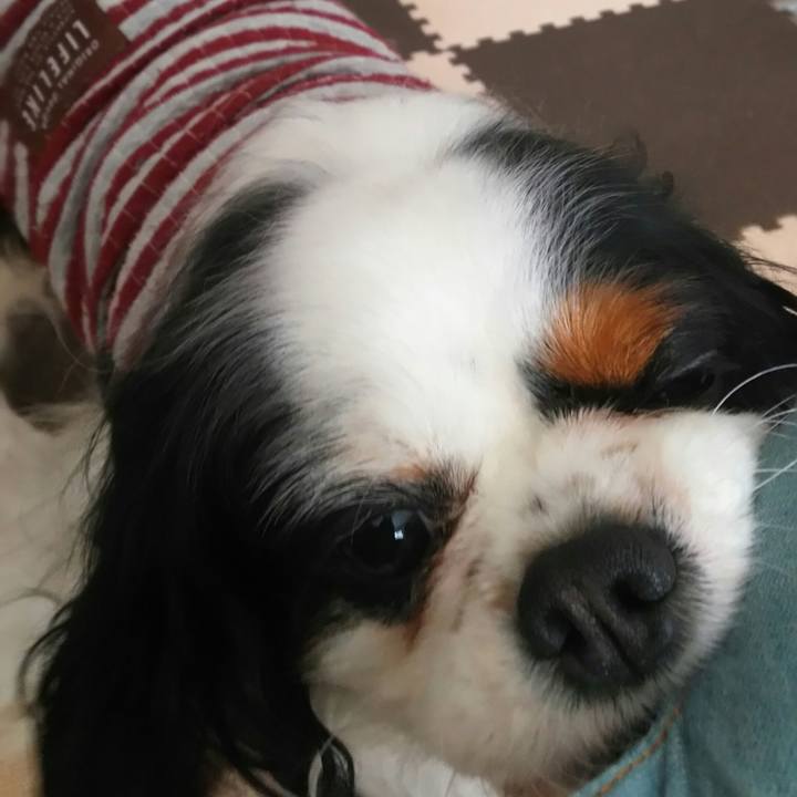 75b661aa c446 4df6 a480 0c7d614f85d9 1522765677894