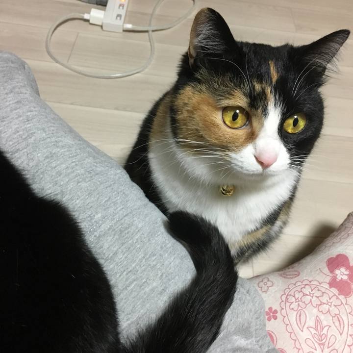 75b67417 c799 4691 98e0 8c955050149a 1519303663280