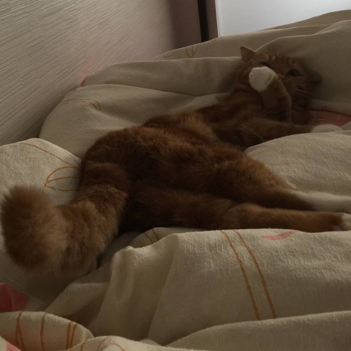 75b6838f d3f1 4949 bb32 6cfb6417a17d 1518823929248