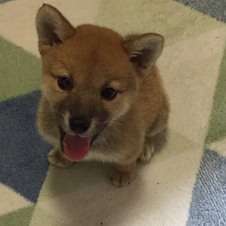 75b69220 97a5 419b 8c82 48dec37bf6df 1595982444404