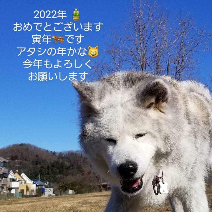 75b70a2d ec78 493b 9957 8aa3c75c3702 1641025157192