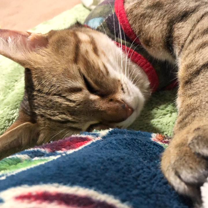 75b73f31 7a07 4f0d 824c 4d05b41d4525 1616928644550