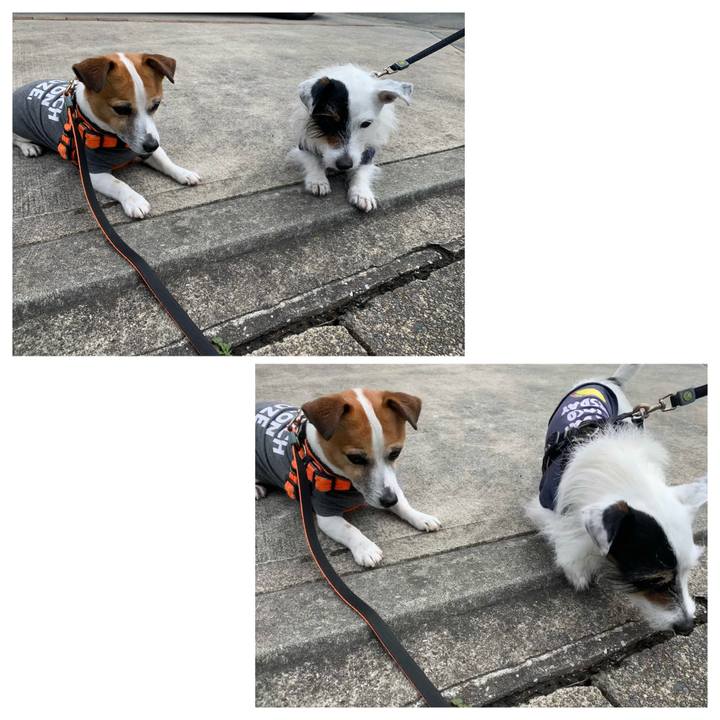 75b79d94 63a2 4ddc 887f 043d9152df72 1618449528111