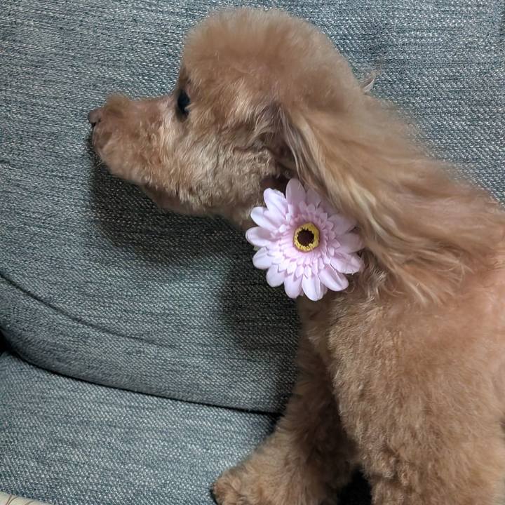 75b7b757 5801 43a2 b108 8b6108a3720f 1773742118470