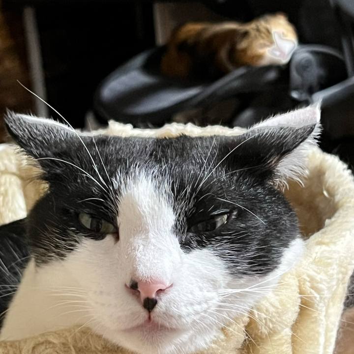 75b7d1f2 782d 4d34 8f99 9628eb9a9629 1724495386591