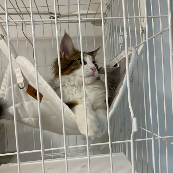 75b7d7c7 6078 413d ae37 58214bbf9717 1637056906719