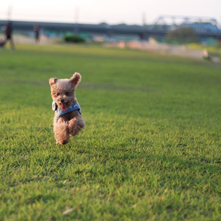 75b7e4dc 5a0b 4afe 8175 a95437fcb8b8 1588593168372