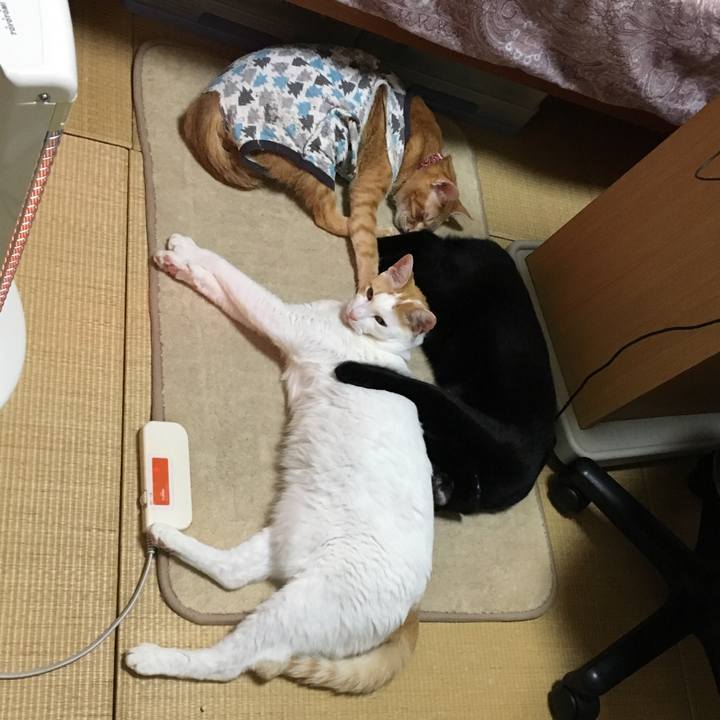 75b7ea03 0ef9 45e2 9af2 6c8d13af408f 1512810929300