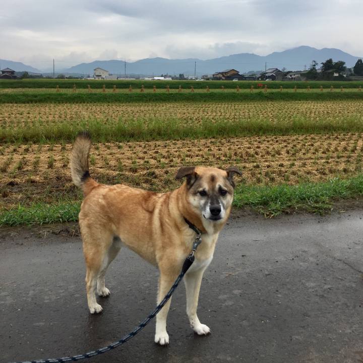 75b80515 eae1 4cee a0dc 2f5d82fac8a6 1537400953903