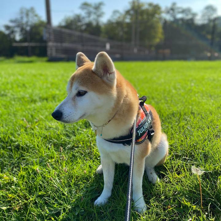 75b80961 38b5 4f68 8b84 2c1abe6e851d 1600909120701