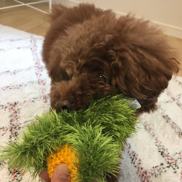 75b80df7 7ba7 44f5 879d e8a422197310 1527308737225