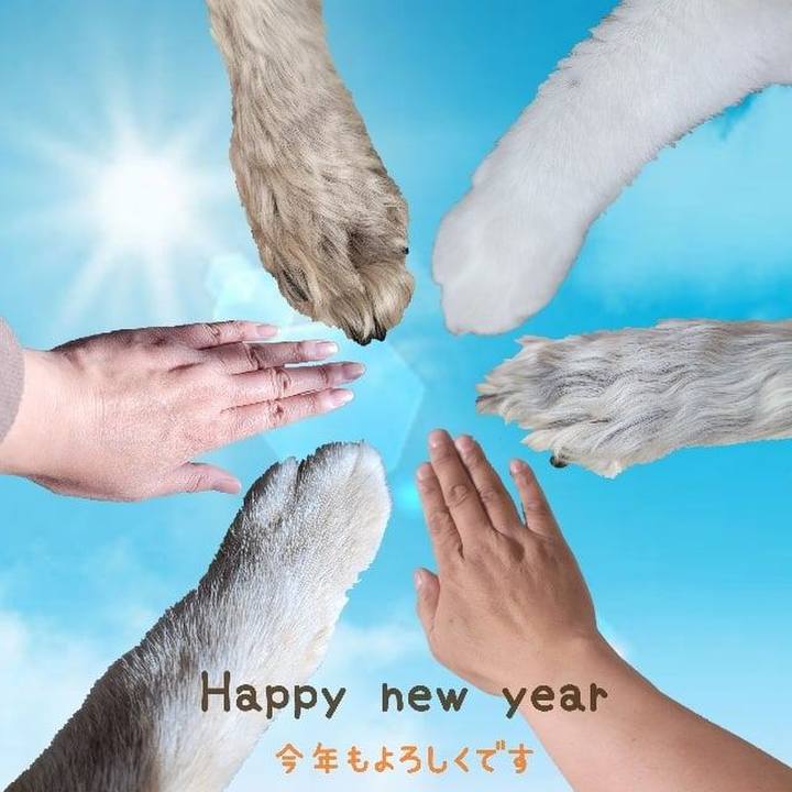 75b8133d 81f2 42a4 a4c7 c4b2d0811bf4 1640967779103