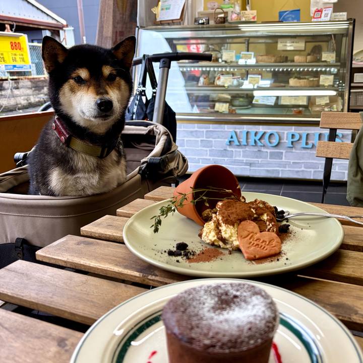 75b85235 ba4e 4bda a09d 1b76c8405ef9 1771062141591