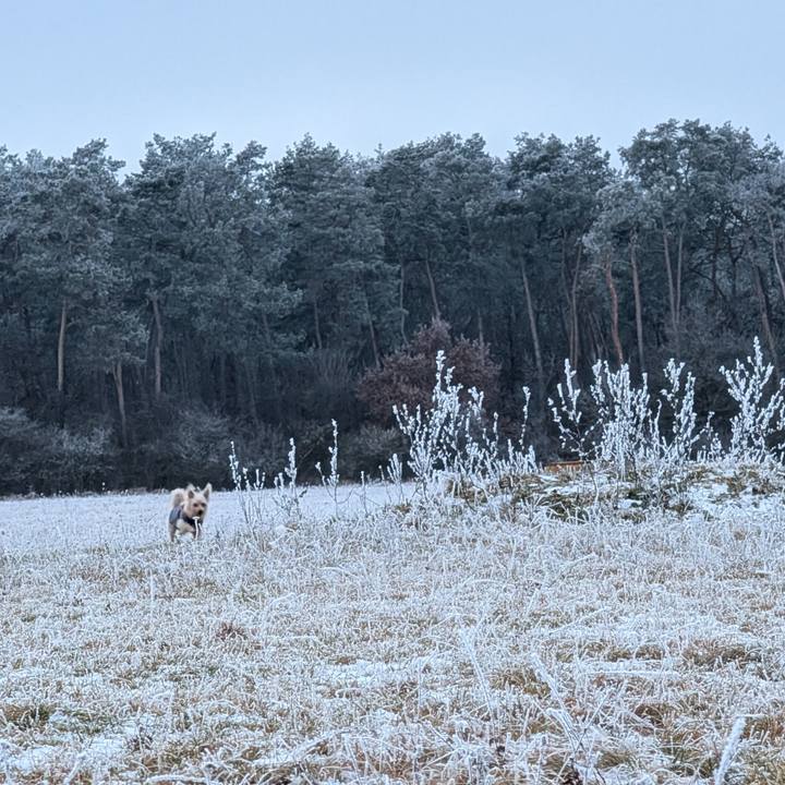 75b86bda 635e 4654 9a7e 034a35c27a29 1766940329248