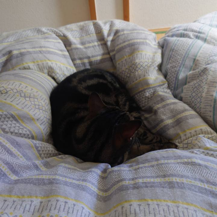 75b86d5a 8e14 4783 beb3 636546bc2b3e 1677546051694