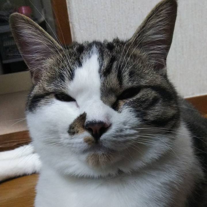 75b87317 746c 4753 8b56 fe9f660a2f75 1623326208991