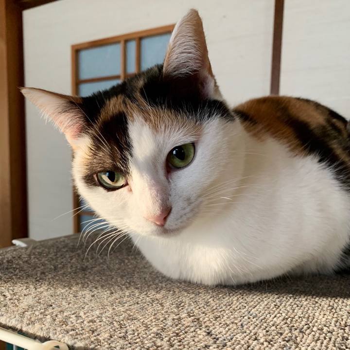 75b8795e 34e5 4c19 aa3b a06111dac160 1549767288902